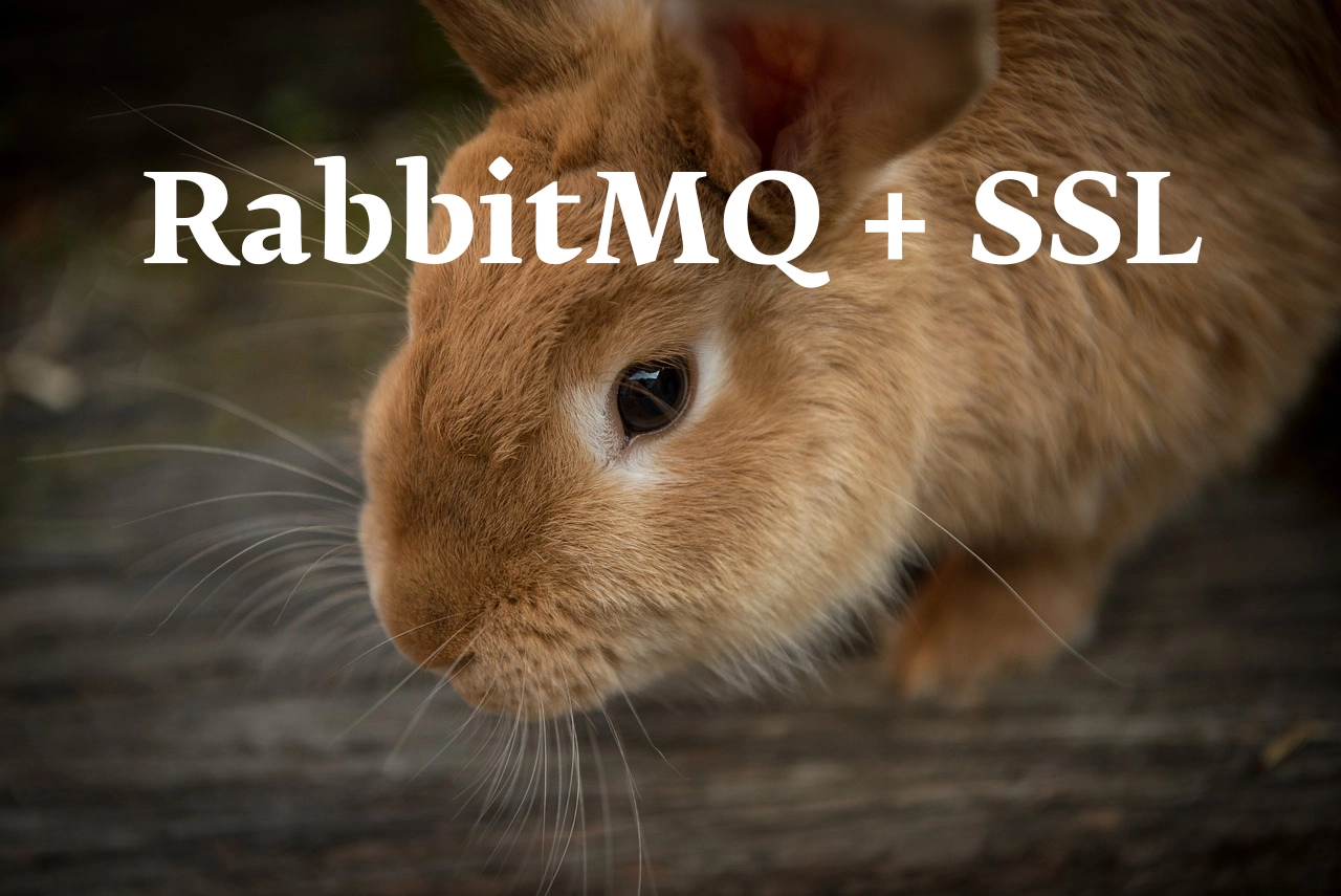 Настройка сертификатов SSL для RabbitMQ